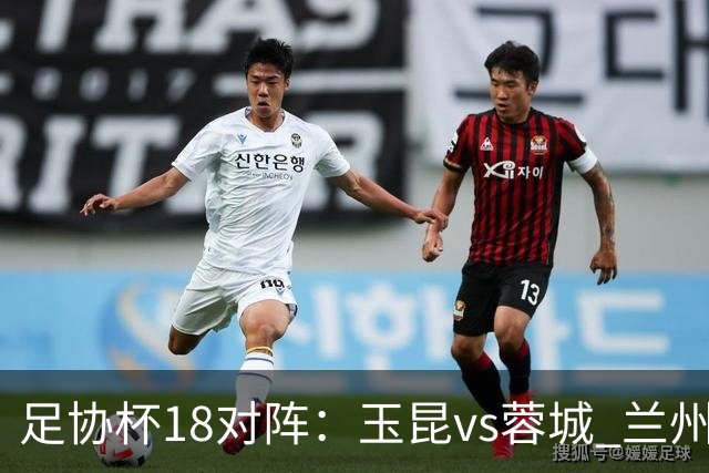 足协杯1/8对阵：玉昆vs蓉城 兰州vs陕西“西北德比” 泰山战三镇